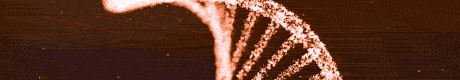 TASKI ultimate machine.gif